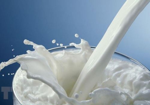 Australia sản xuất sữa tươi có thời hạn sử dụng ít nhất 2 tháng