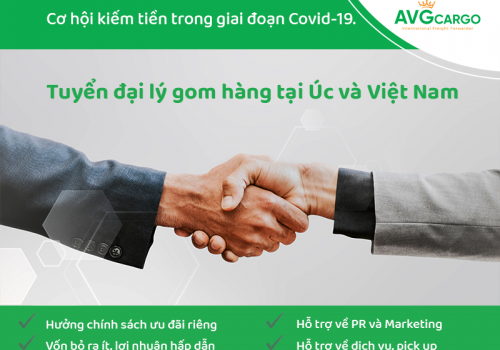 AVG Cargo tuyển đại lý thu gom hàng tại Úc và Việt Nam - Cơ hội làm chủ, kiếm tiền trong giai đoạn Covid-19.