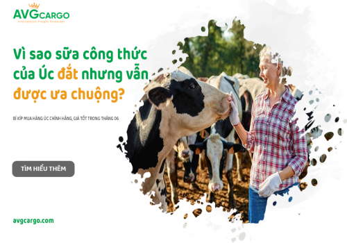 Vì sao sữa công thức của Úc đắt nhưng vẫn được ưa chuộng, bí kíp mua hàng Úc chính hãng, giá tốt trong tháng 06 