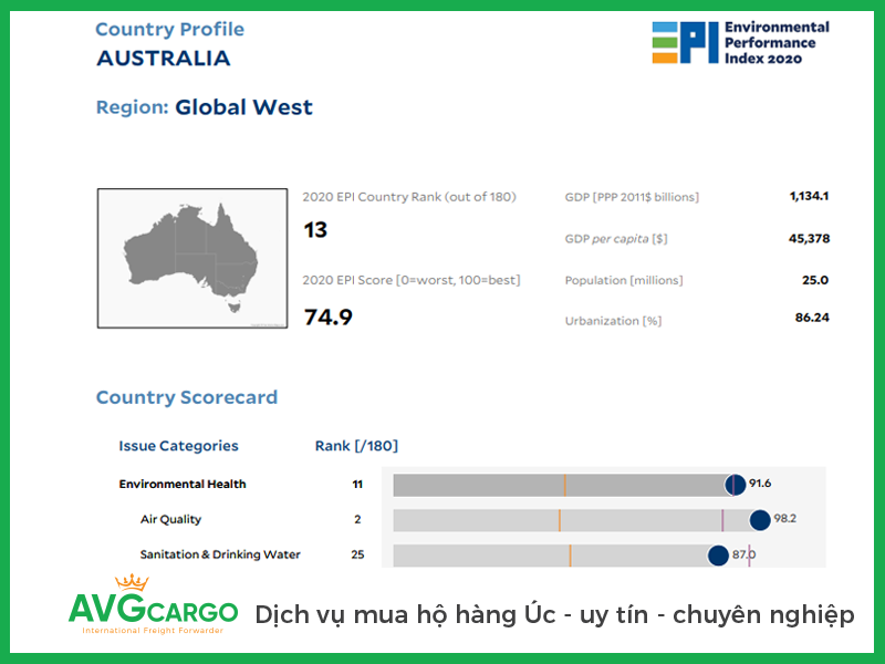avg-cargo-chuyen-van-chuyen-viet-uc-mua-ho-hang-uc-chat-luong-sua-uc-tot