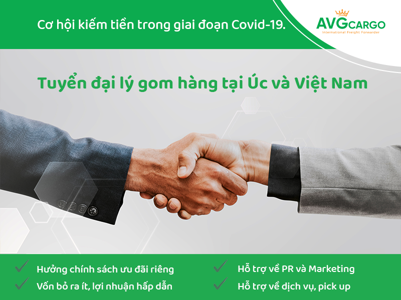 avg-cargo-van-chuyen-uc-viet-viet-uc-tuyen-dai-ly-gomhang