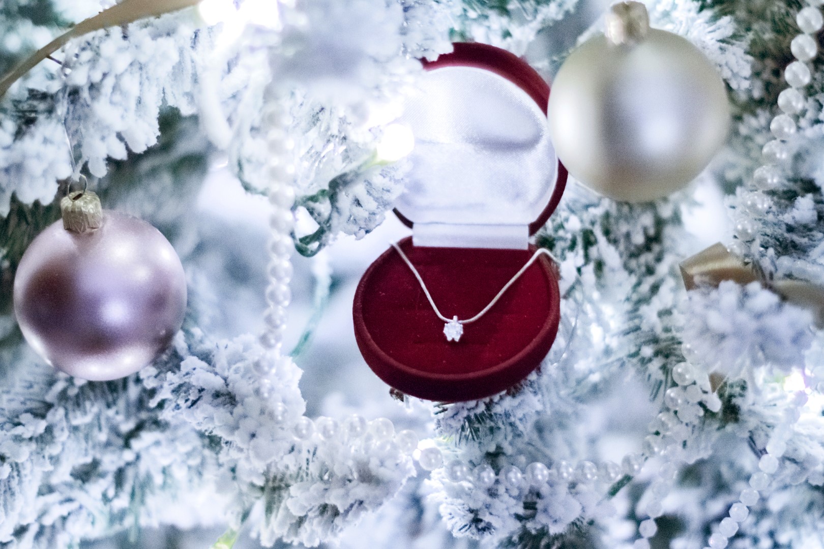 252205-2121x1414-christmas-jewellery